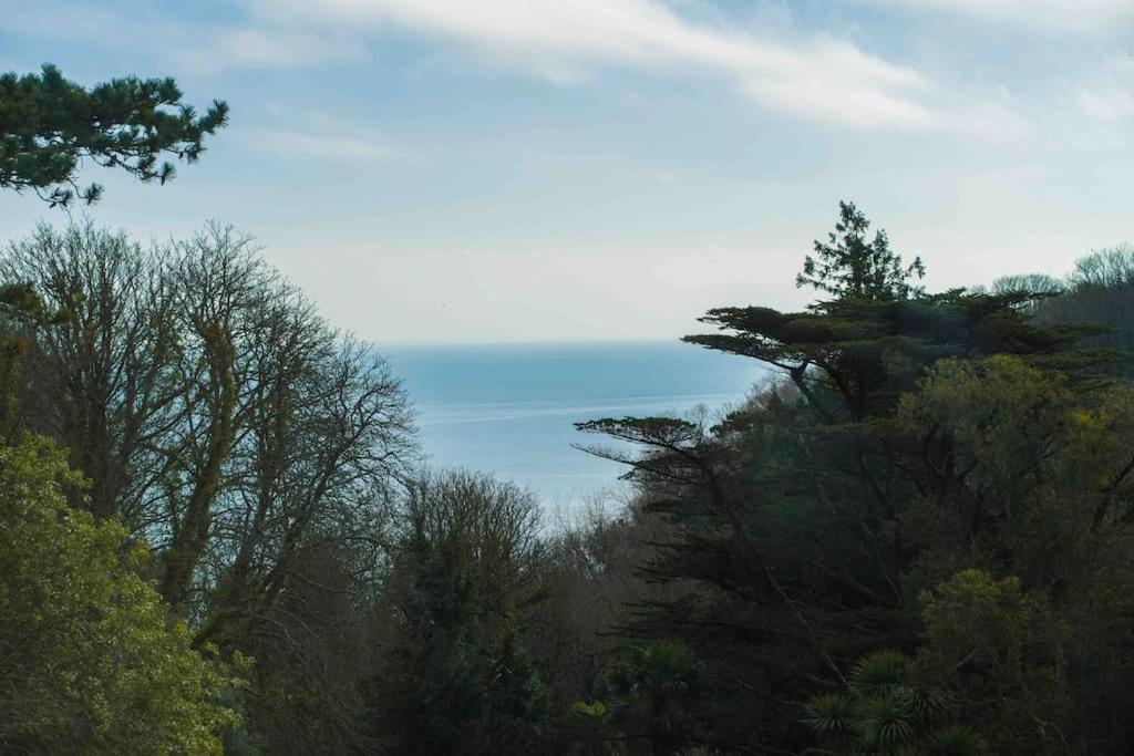 Beautiful Beach Side Apartment Torquay Εξωτερικό φωτογραφία